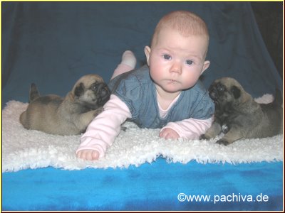 Baby mit Mopswelpen in beige