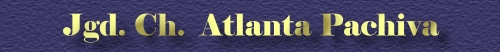 Mopsh�ndin Atlanta aus der Mopszucht Pachiva