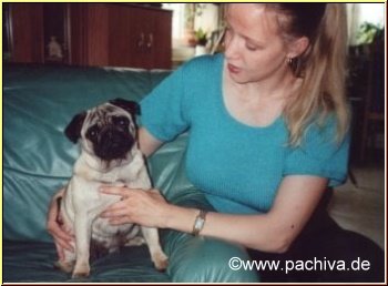 Mopshündin Mathilde im Jahr 2001