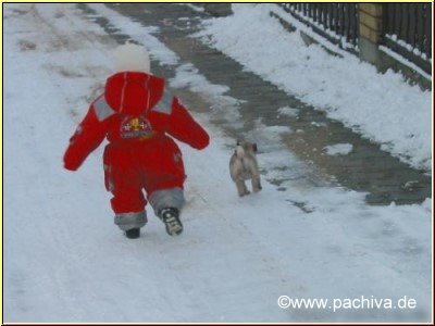 Baby mit Mopsbaby