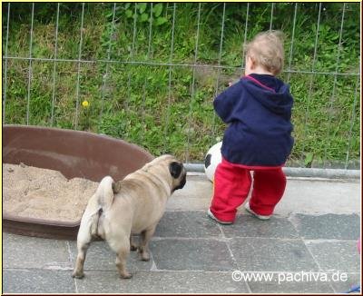 Baby Vanessa und Mops Mathilde