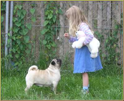 Mops Helga mit Vanessa