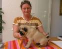 Mops bei der Wurfabnahme